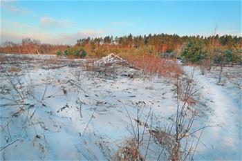 白俄罗斯春雪