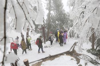 张家界迎降雪 景区银装素裹